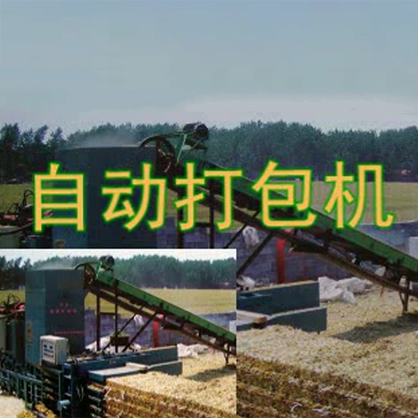 與打包機(jī)配套的使用現(xiàn)場